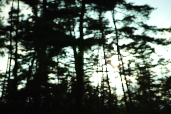 a0049639_10211090.jpg