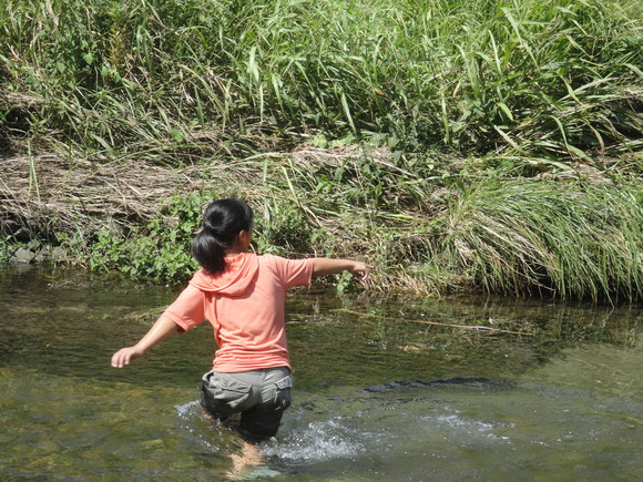 c0206739_1432597.jpg