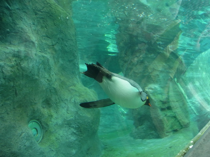 a0160940_14525328.jpg