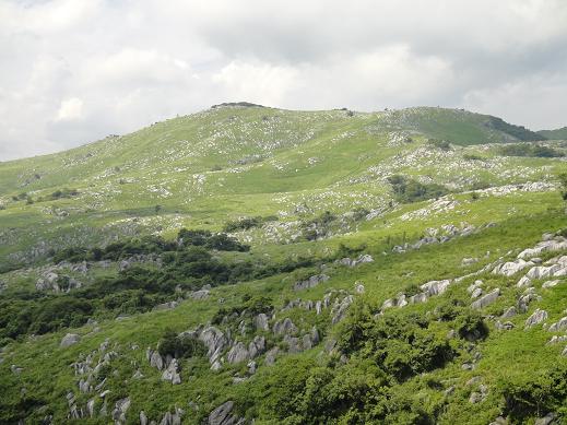 e0164643_15544653.jpg