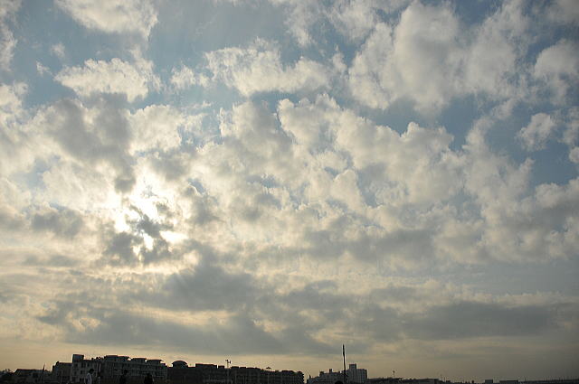 f0094843_13194599.jpg