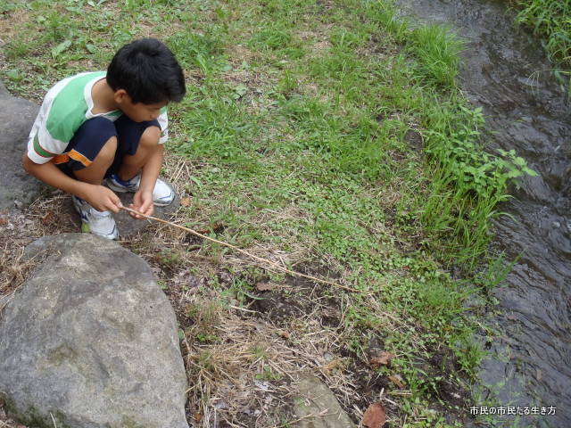 d0182245_22171749.jpg