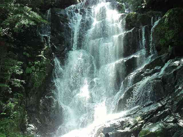 e0159246_238764.jpg