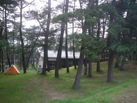f0046250_0262451.jpg