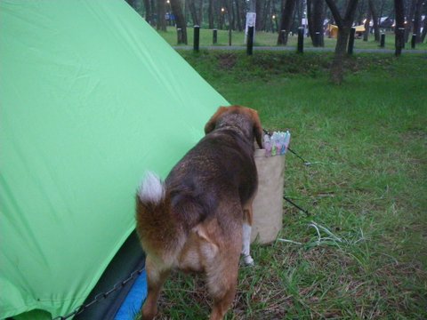 f0046250_038230.jpg