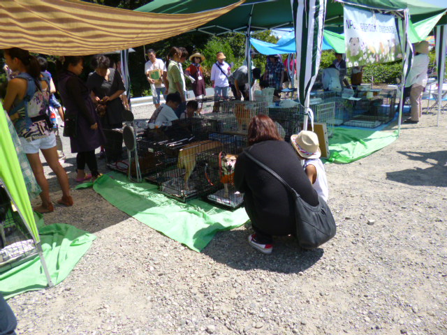 d0106951_2133235.jpg