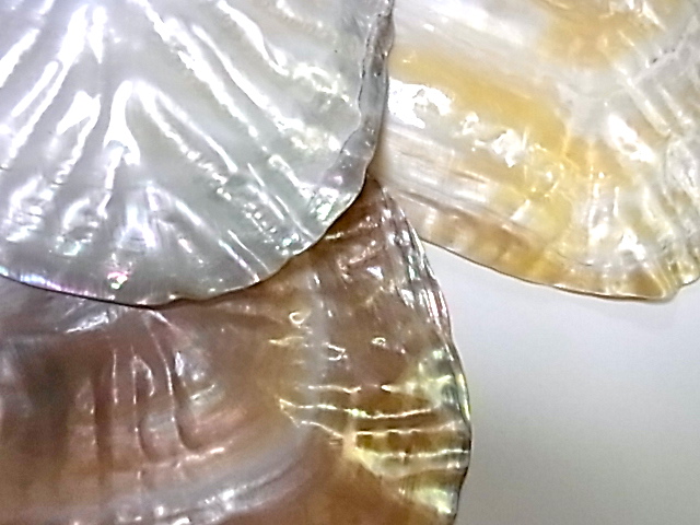 b0238760_043987.jpg