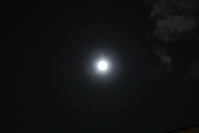 b0141664_22275376.jpg
