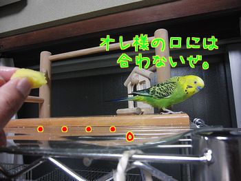 f0196665_965171.jpg
