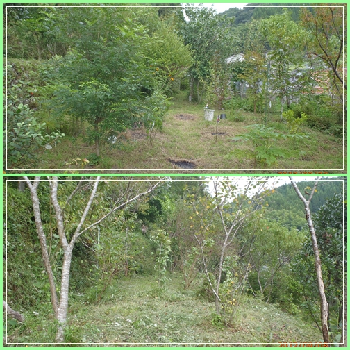f0016066_15295862.jpg