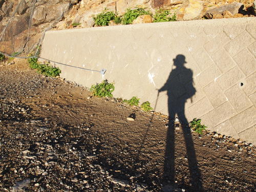 c0144868_0412621.jpg