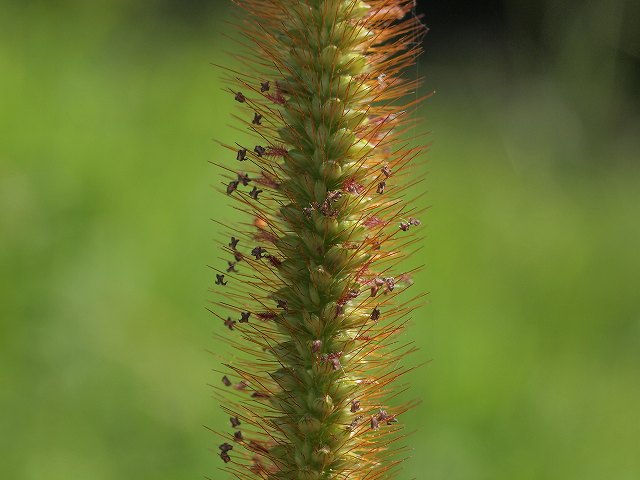 b0135573_23554818.jpg