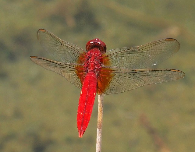 b0135573_23561714.jpg