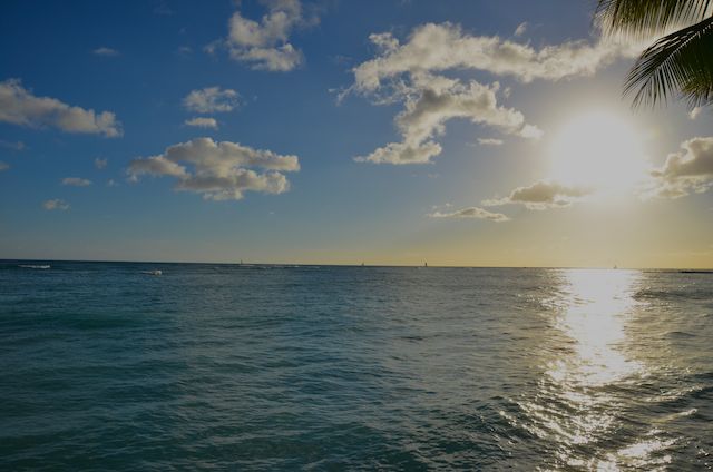 b0247073_115563.jpg