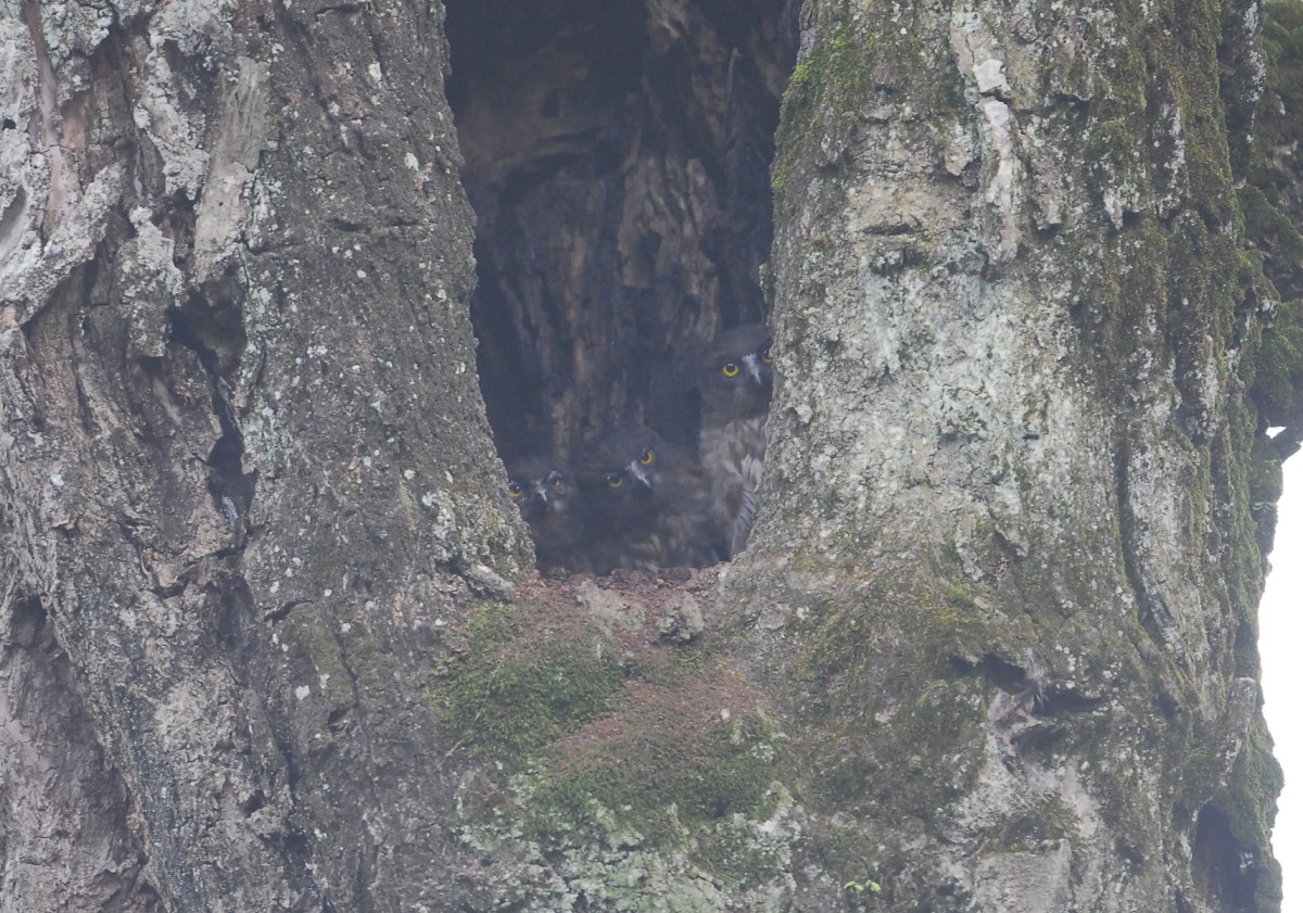 d0157380_8154121.jpg