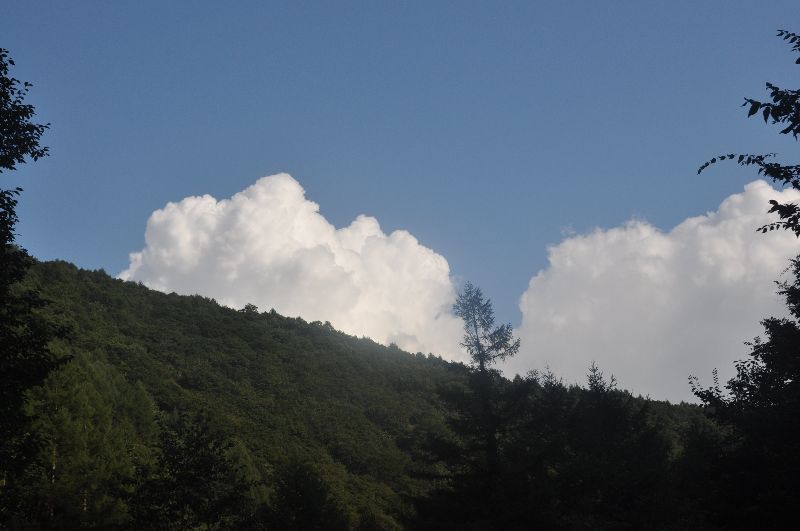 d0164783_1195433.jpg