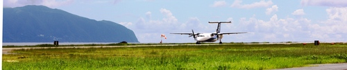 c0204385_027991.jpg