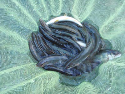 c0146788_17464317.jpg