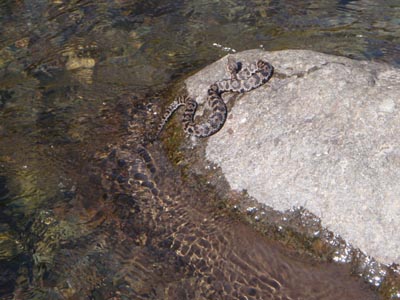 c0146788_17464330.jpg