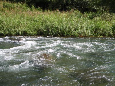 c0146788_17464418.jpg
