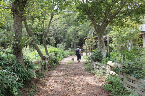 a0234491_21385187.jpg