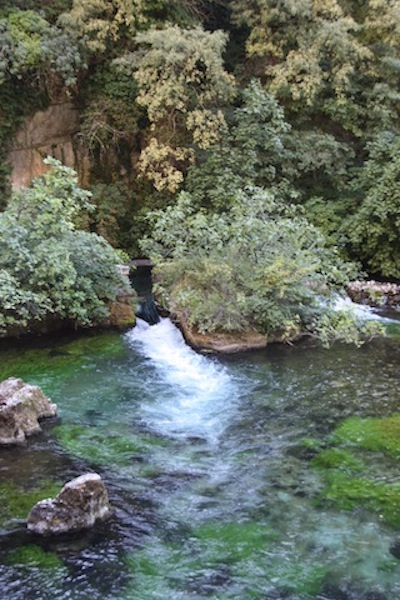 f0044892_7243764.jpg