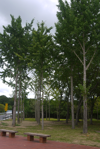 f0222692_1945183.jpg