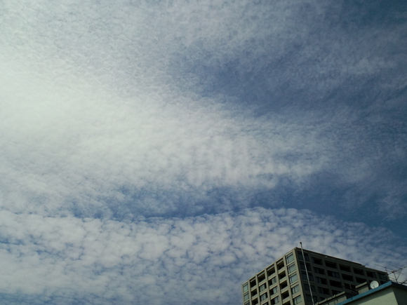 d0135694_2352855.jpg