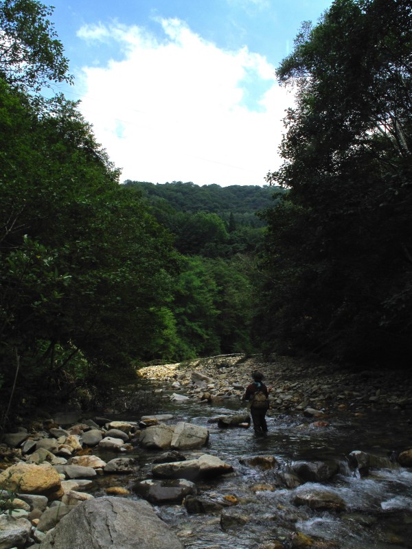 f0129994_11322154.jpg