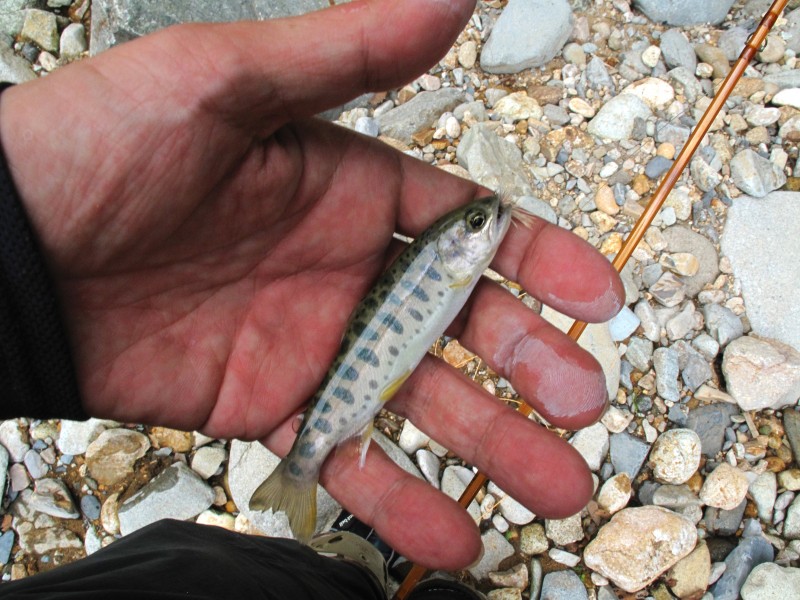 f0129994_1135108.jpg