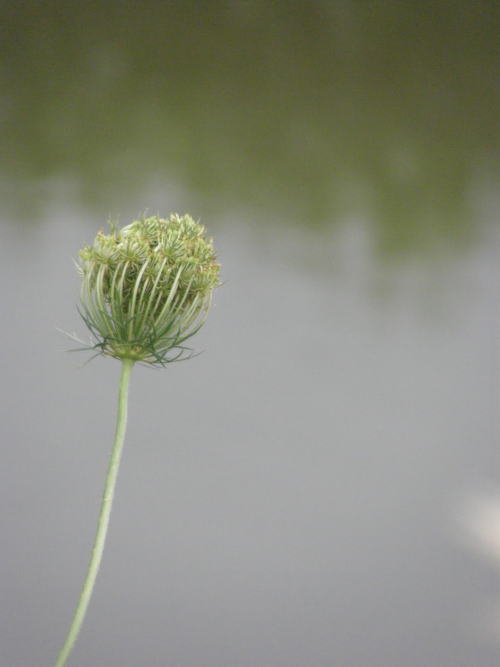 e0017396_18242482.jpg