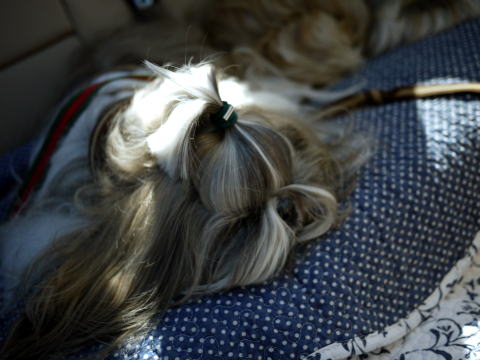 c0090198_6221348.jpg