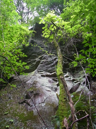 a0218499_17362767.jpg