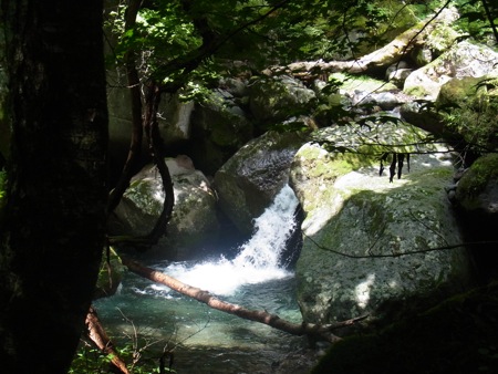 a0218499_17381287.jpg