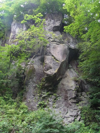 a0218499_17393029.jpg