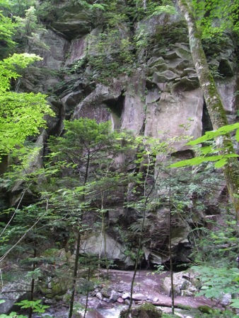 a0218499_1750233.jpg