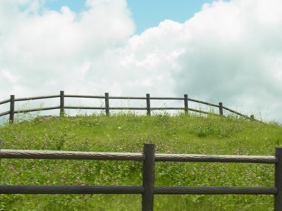 a0218499_1872689.jpg