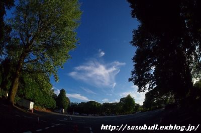 e0145805_19485072.jpg