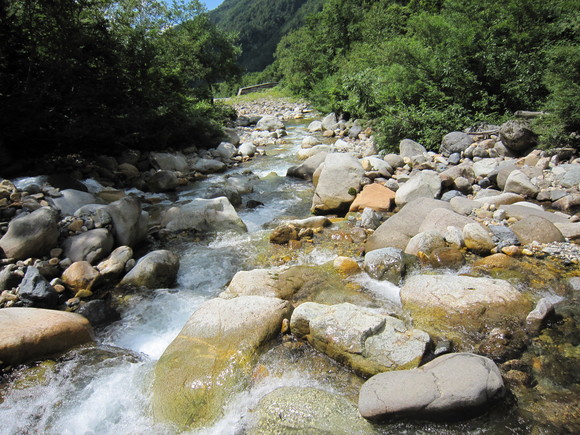 d0241509_21284770.jpg