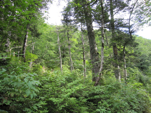 d0241509_21411729.jpg
