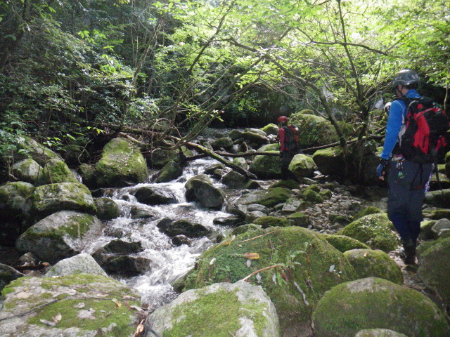 d0006512_9224189.jpg