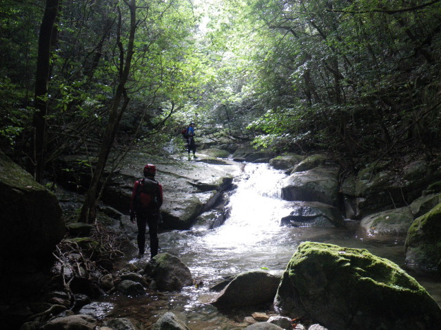 d0006512_924272.jpg