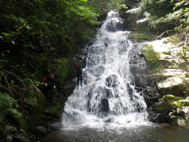 d0006512_9265019.jpg