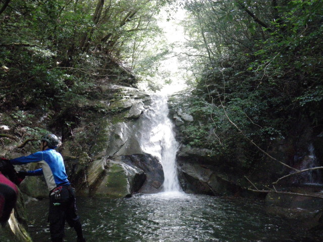 d0006512_926768.jpg