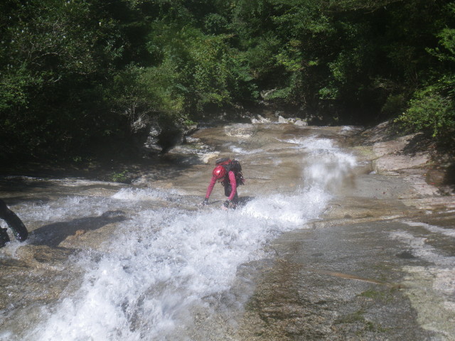 d0006512_9274837.jpg