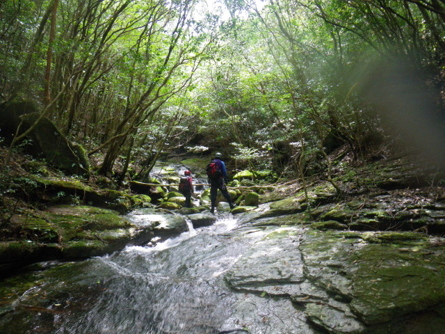d0006512_92832100.jpg