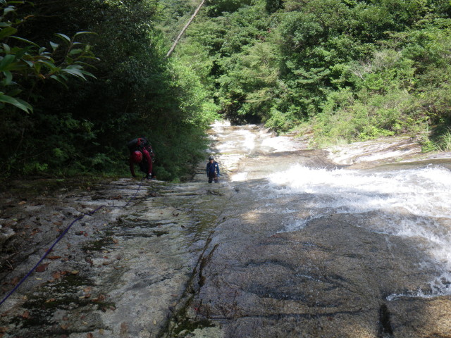 d0006512_92855.jpg