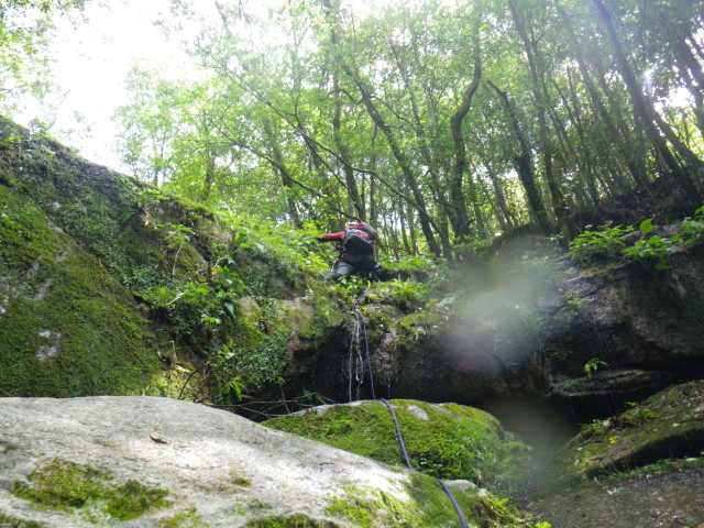 d0006512_947647.jpg