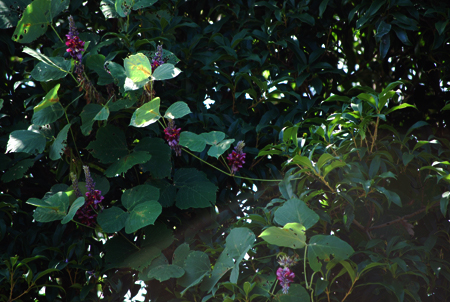 d0113613_1027557.jpg