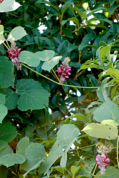d0113613_10282465.jpg